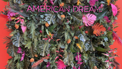 American Dream  – provided by WTS