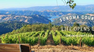 Weinberge Sonoma County - Gustavson's Picknick Area  – provided by Sonoma County Tourism