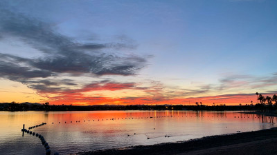 Lake Havasu City - Sonnenuntergang im Rotary Park  – Go Lake Havasu