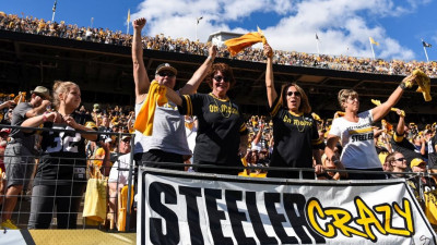 Steelers Fans schwenken die "terrrible towels"  – provided by Dave DiCello