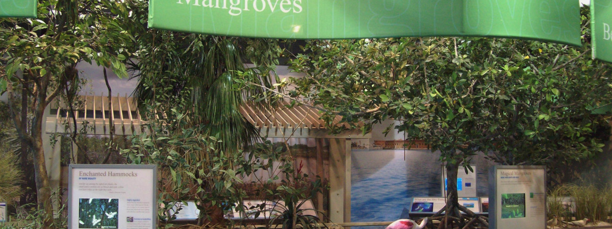 Mangrove Exhibit