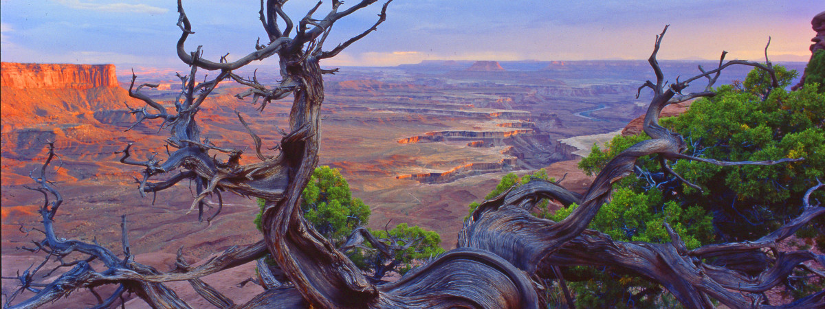 "The Mighty 5" Canyonlands Nationalpark: Island in the Sky District