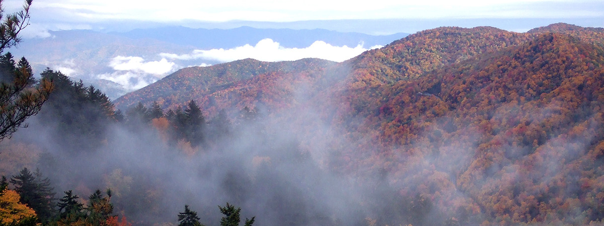 Der Great Smoky Mountains National Park im Herbst